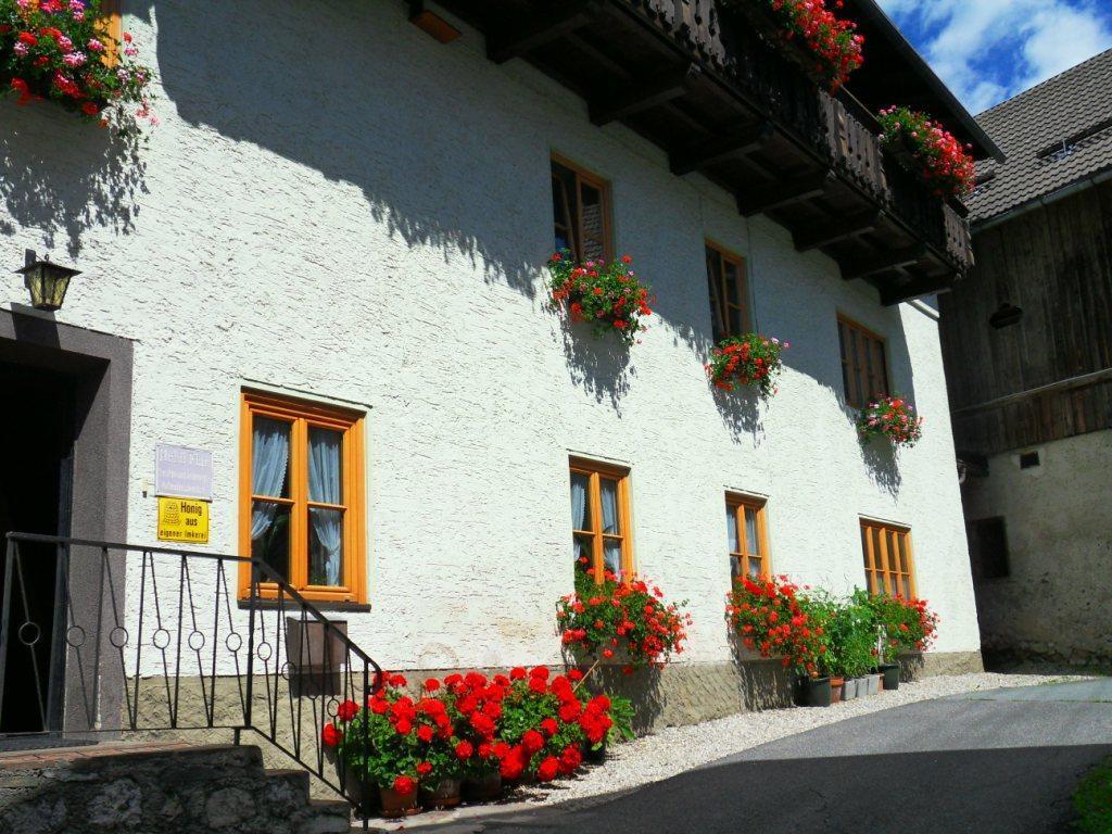 Apartamento Haus Waldblick Weissensee Exterior foto